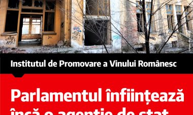 În loc să desființeze din miile de agenții inutile, coaliția PSD-PNL mai face încă una: „Institutul de promovare a vinului românesc”.