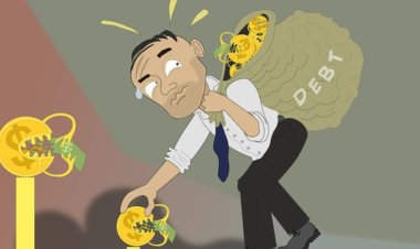 Guvernul propune să șteargă datorii de 137 de milioane de lei de la 10 companii de stat