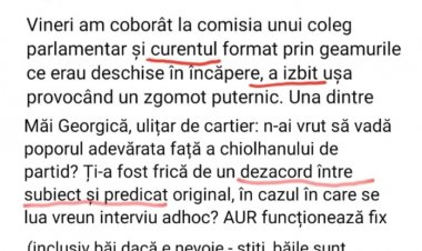 Când vă mai apucă hachițele gramaticale și simțiți acele tremurături lăuntrice