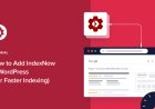 Google instant index pentru wordpress - Tutorial