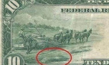 De ce a fost  INTERZISĂ cânepa?