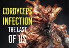 Ciuperca Cordyceps: beneficiile medicinale dovedite și utilizarea în medicina traditională chineză și ayurvedică